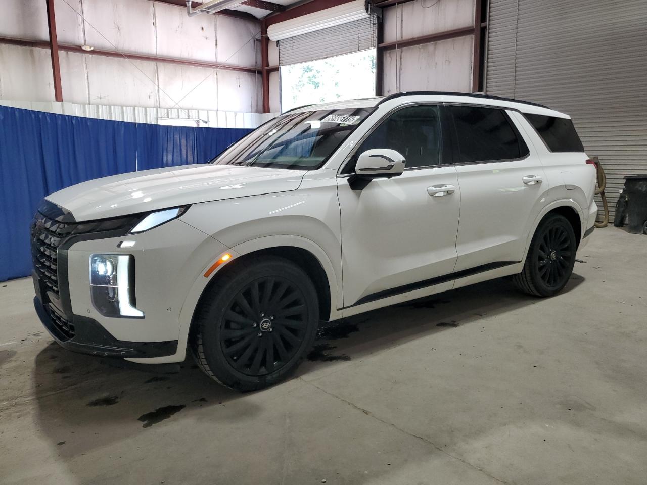 HYUNDAI PALISADE C 2024