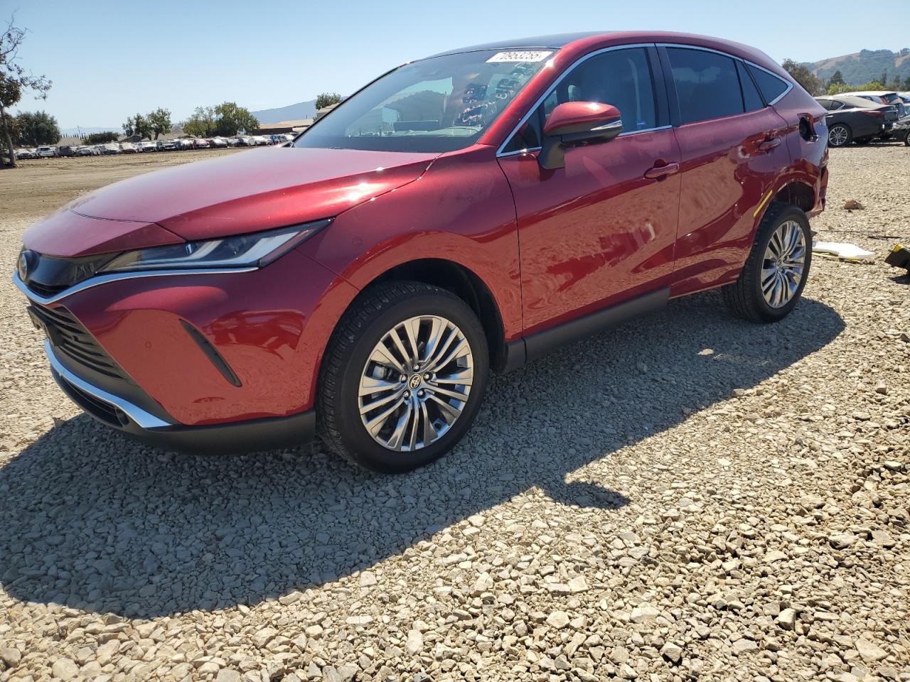 TOYOTA VENZA LE 2024