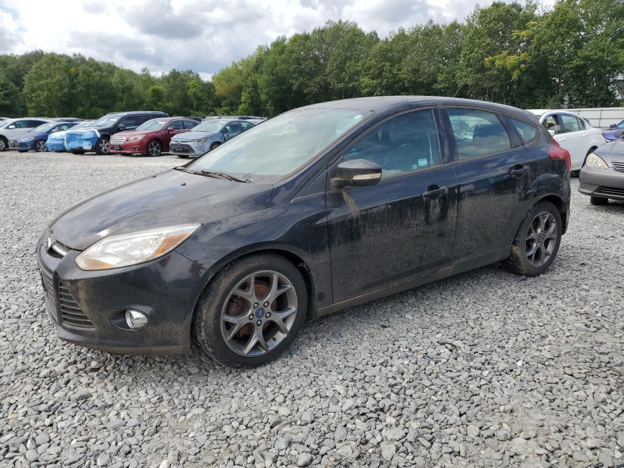 FORD FOCUS SE 2013