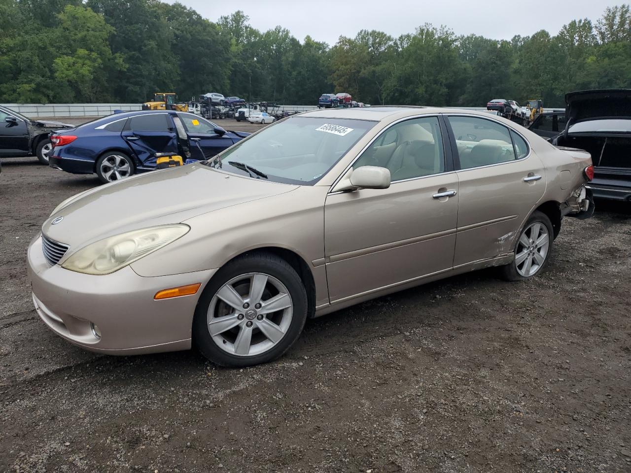 LEXUS ES 330 2005