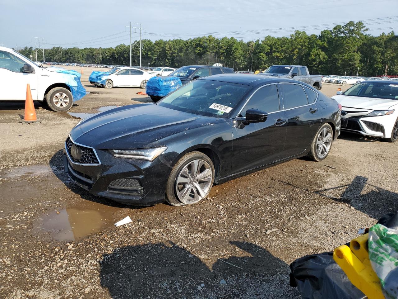 ACURA TLX ADVANC 2021
