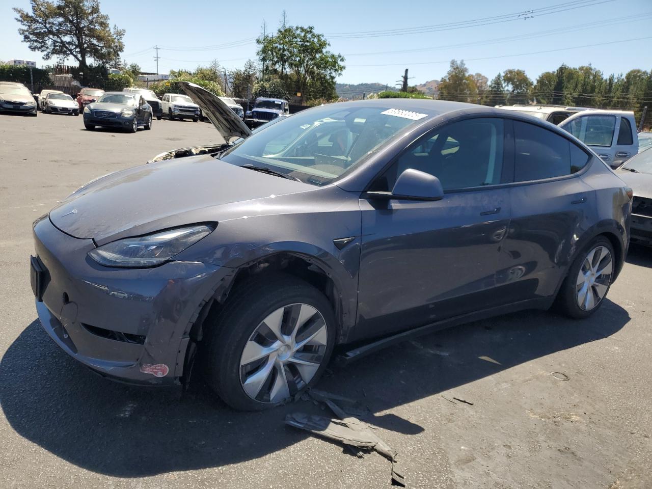 TESLA MODEL Y 2023