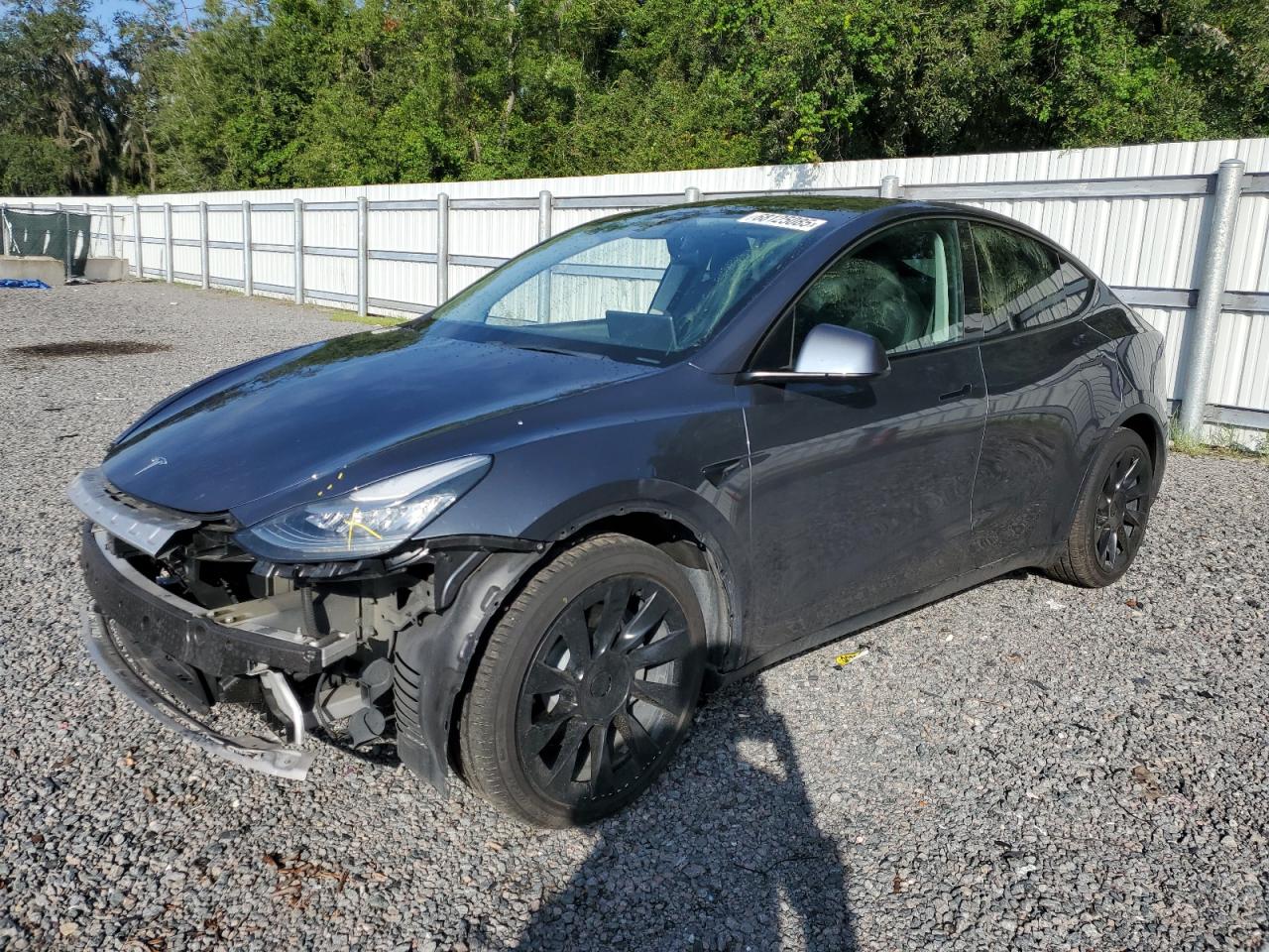 TESLA MODEL Y 2021