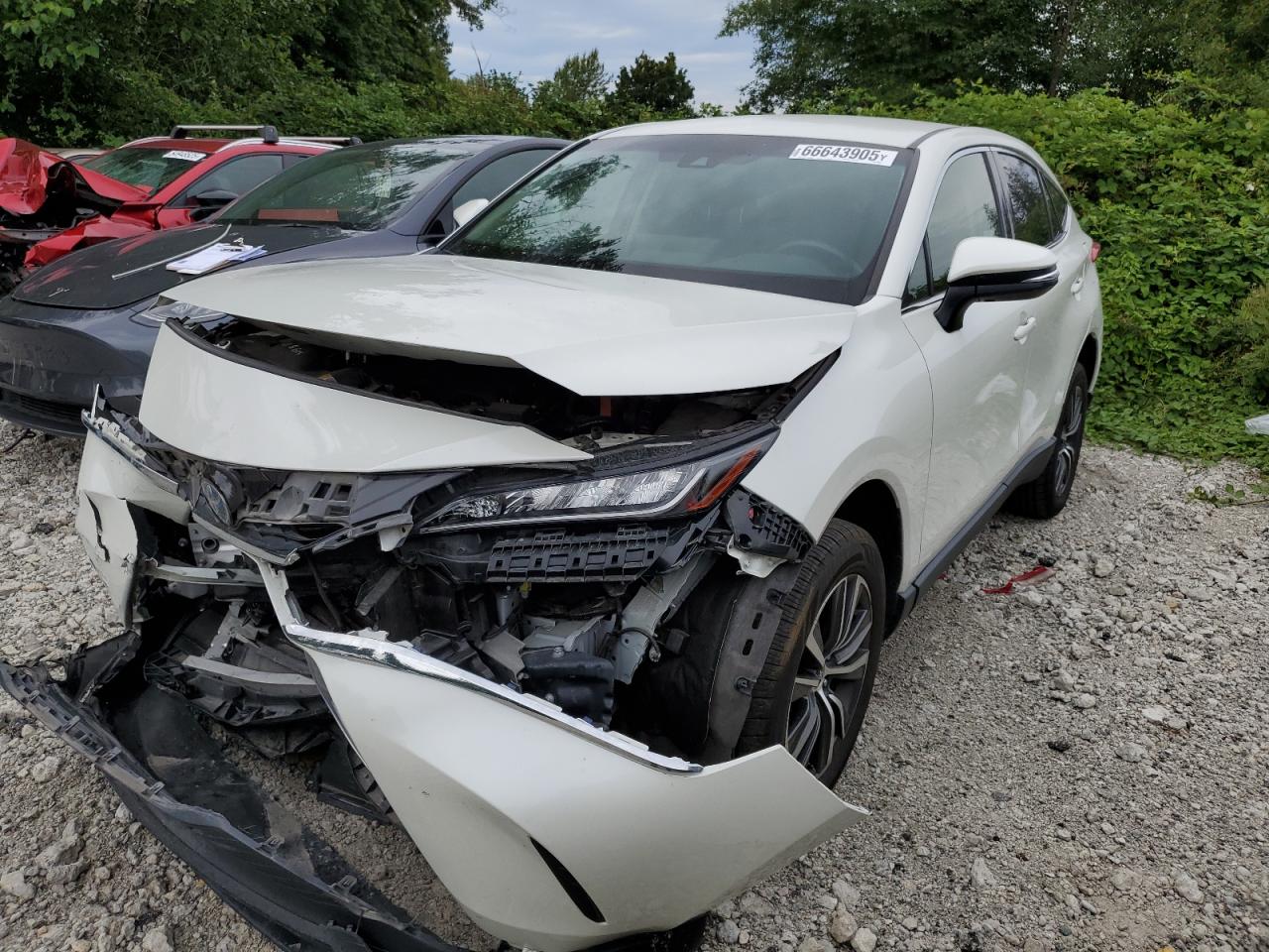 TOYOTA VENZA 2022