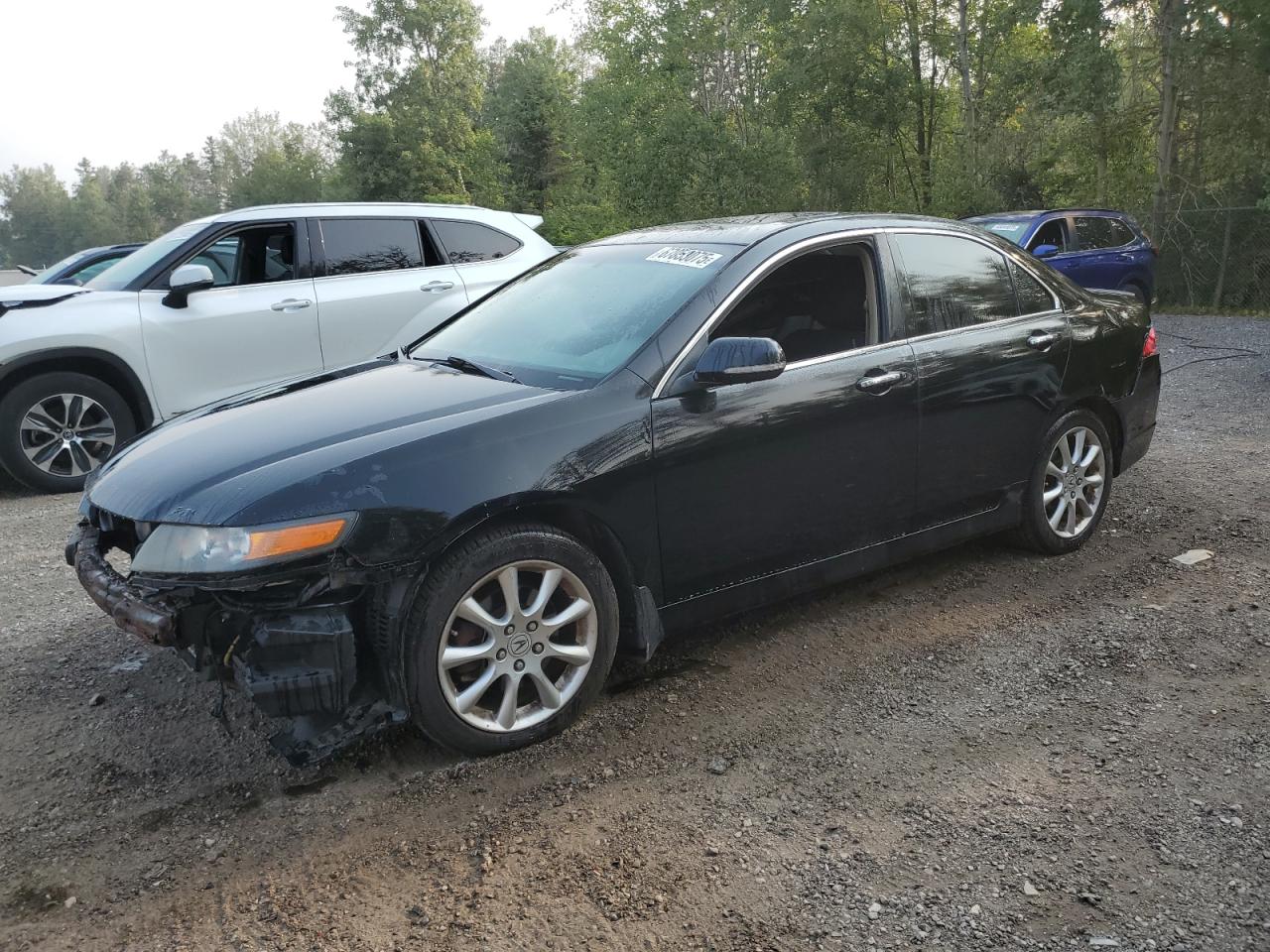 ACURA TSX 2006