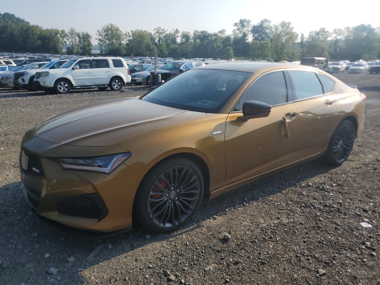 ACURA TLX TYPE S 2021