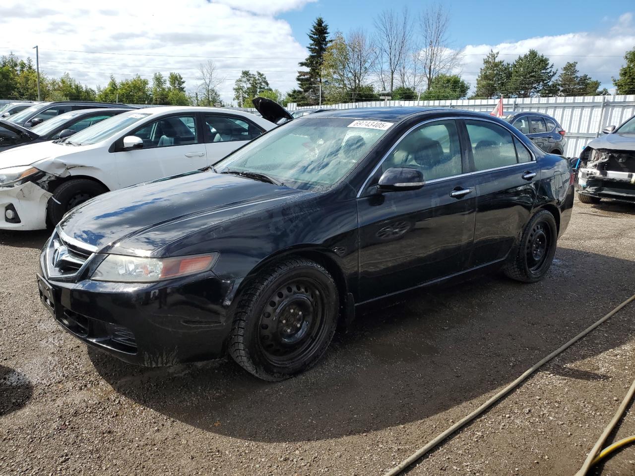 ACURA TSX 2005