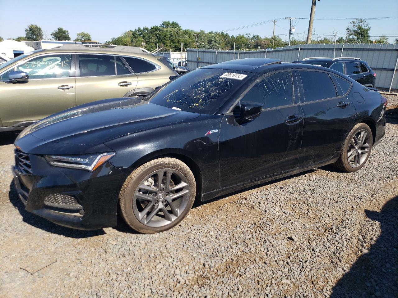 ACURA TLX A-SPEC 2024