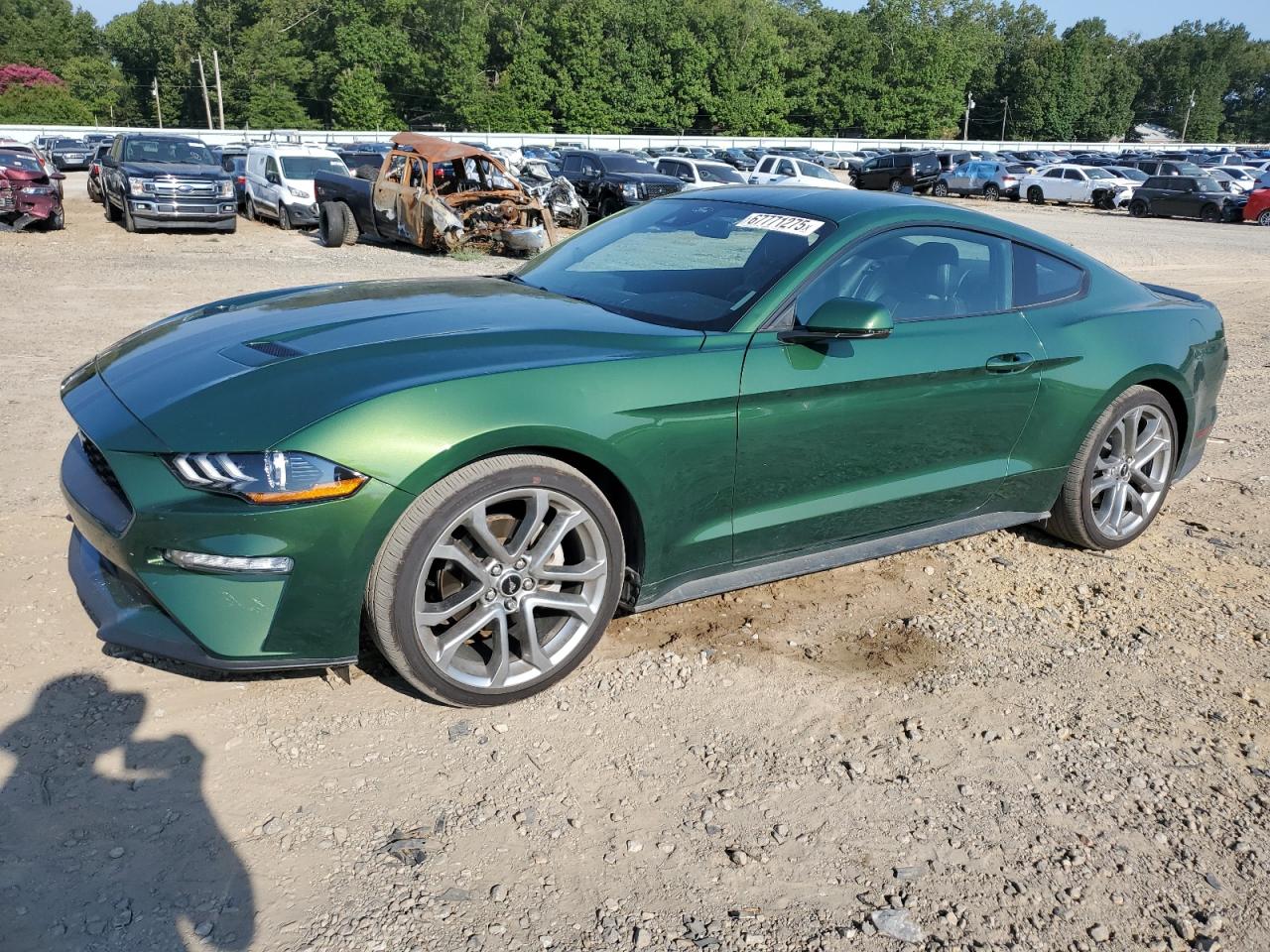 FORD MUSTANG 2023