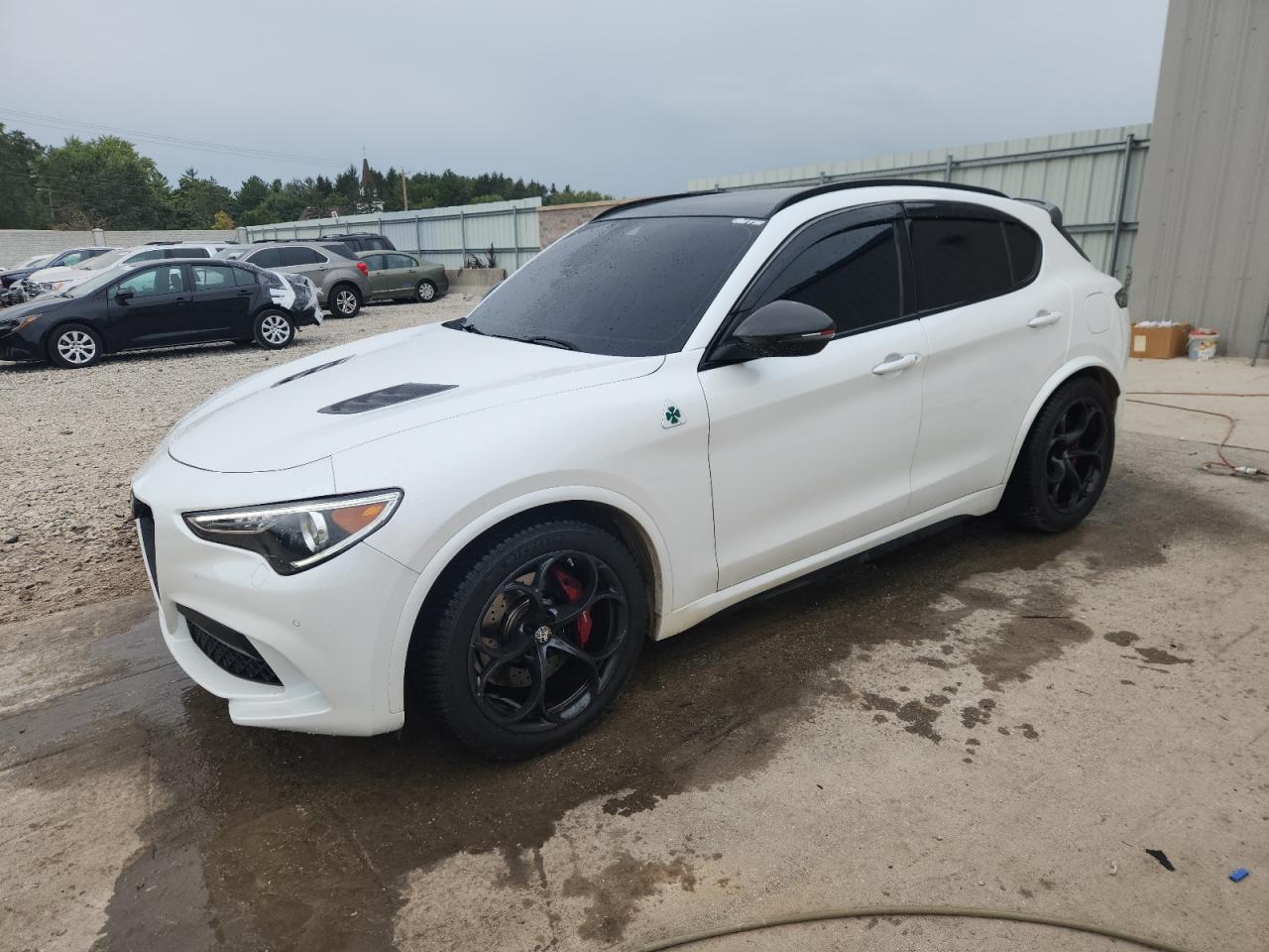 ALFA ROMEO STELVIO QU 2020