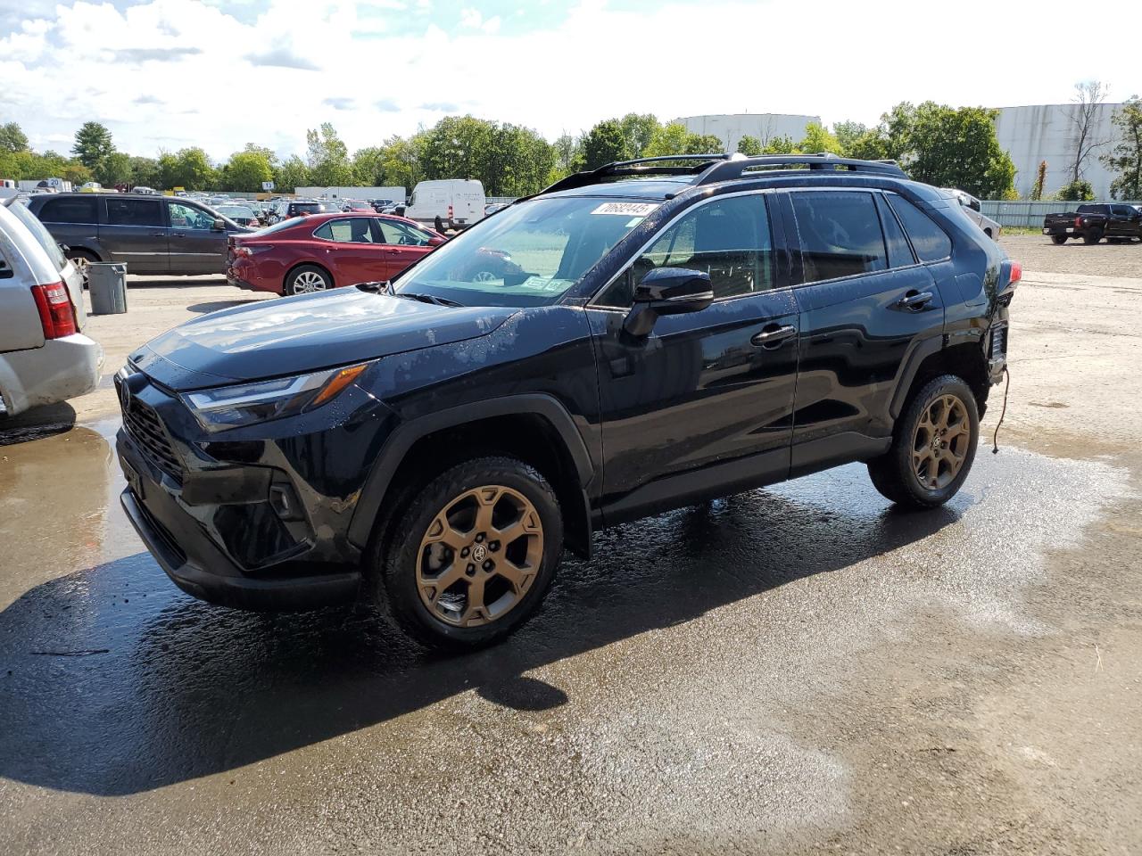 TOYOTA RAV4 WOODL 2024