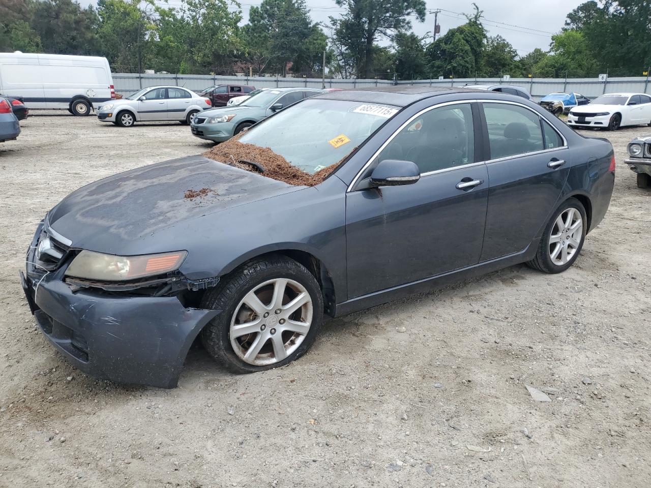 ACURA TSX 2005