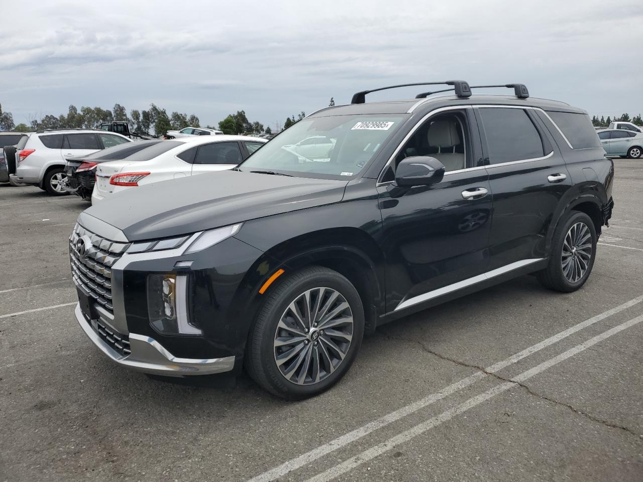 HYUNDAI PALISADE C 2024