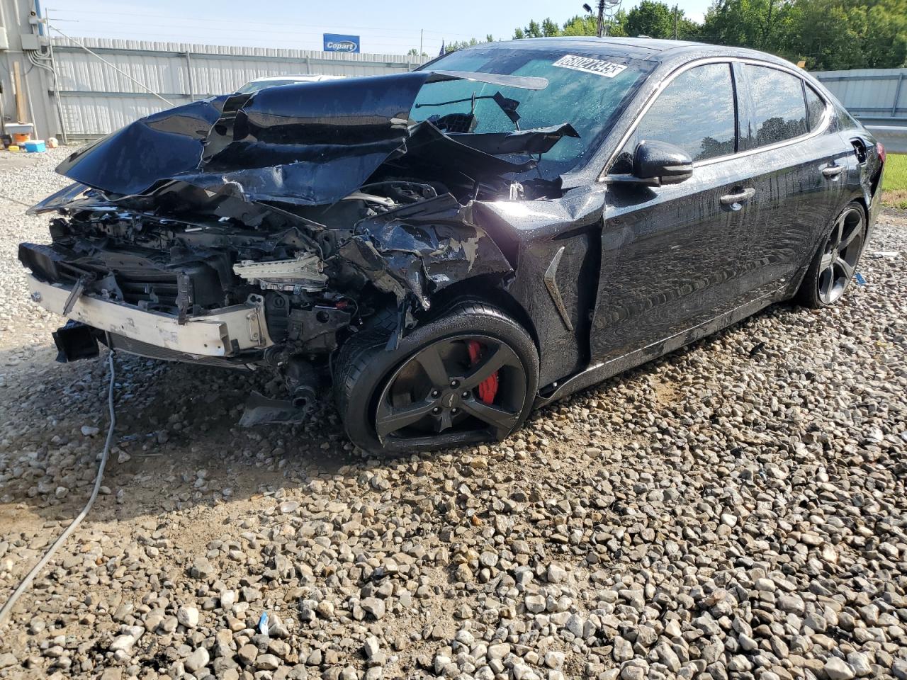 GENESIS G70 PRESTI 2019