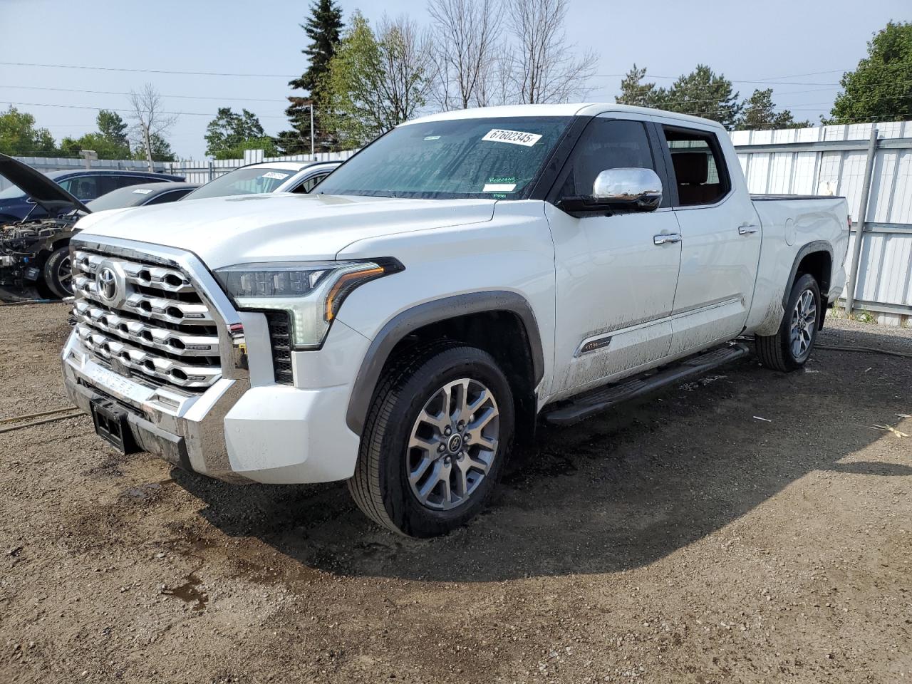 TOYOTA TUNDRA CRE 2024