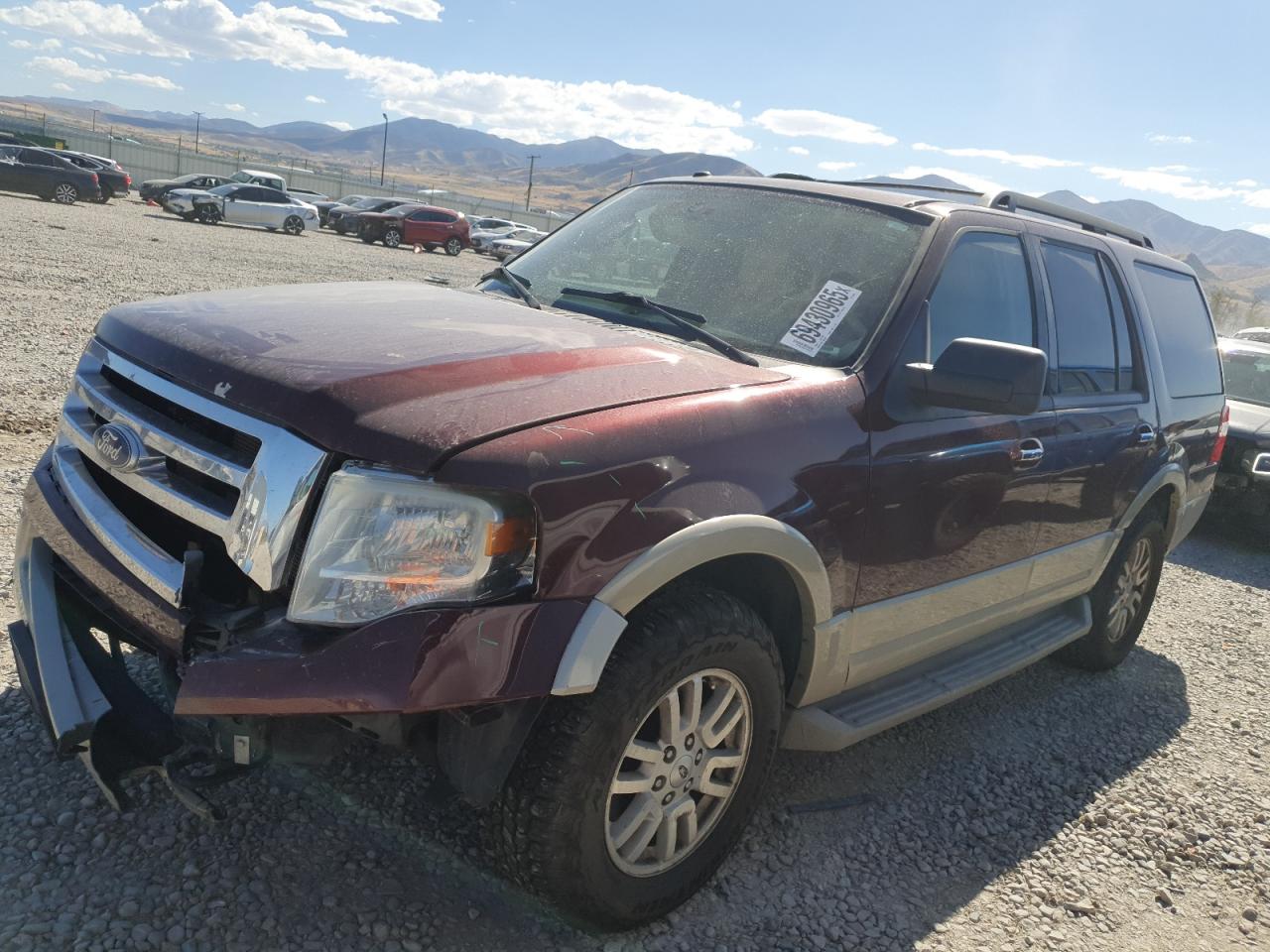 FORD EXPEDITION EDDIE BAU 2010