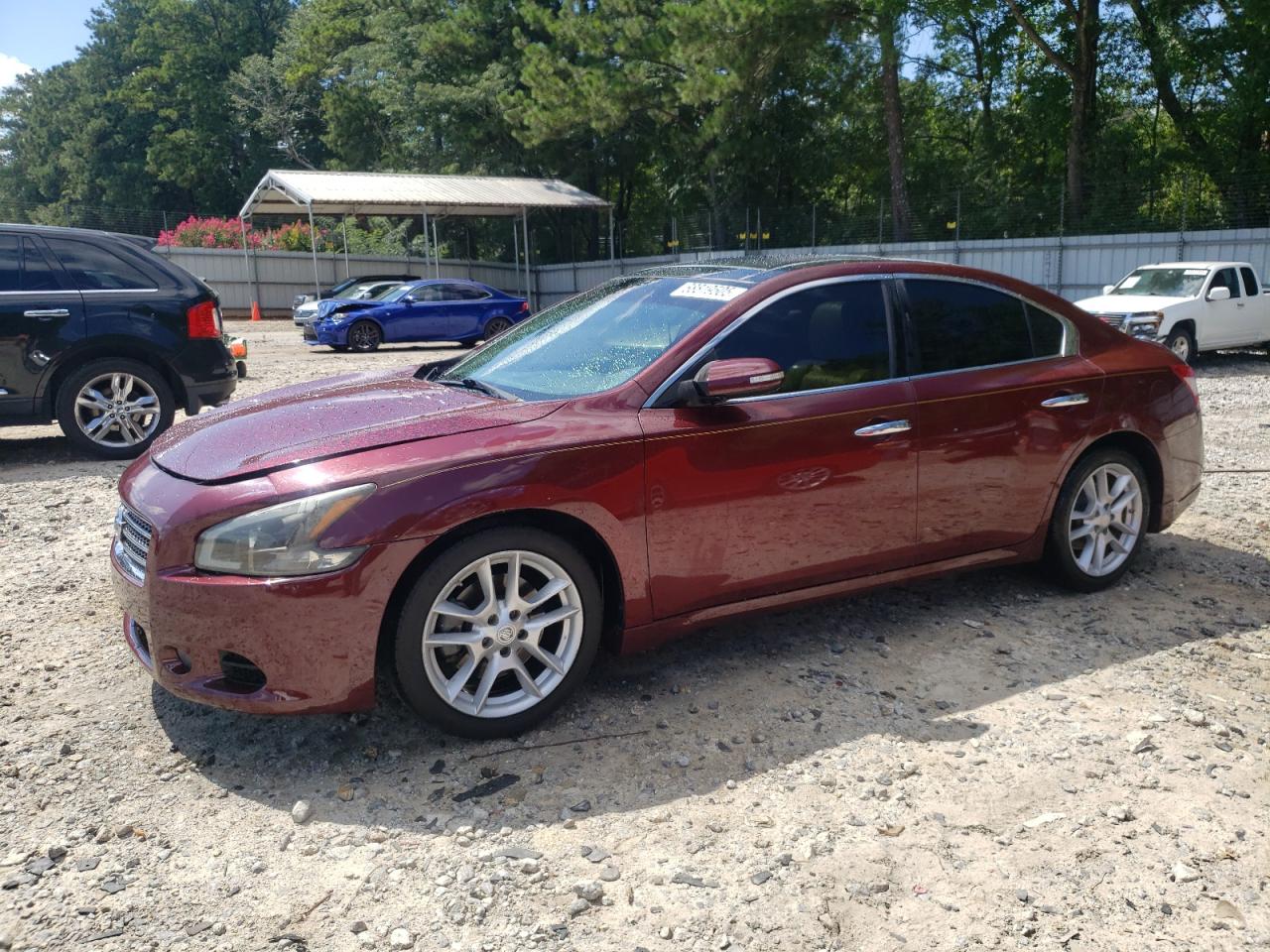 NISSAN MAXIMA S 2010