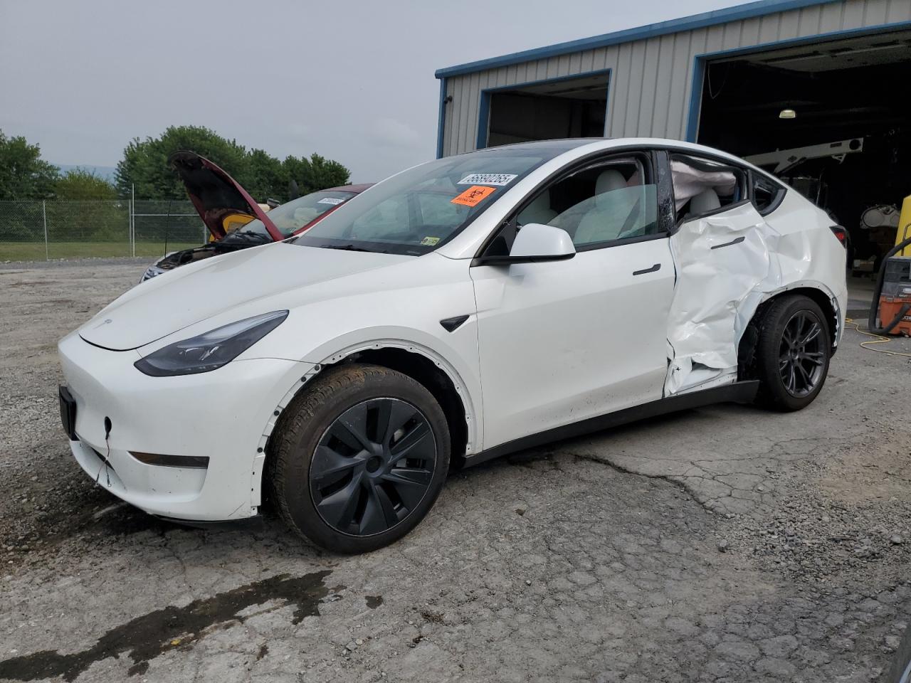 TESLA MODEL Y 2024