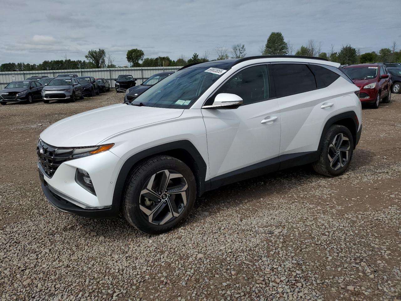 HYUNDAI TUCSON LIM 2022