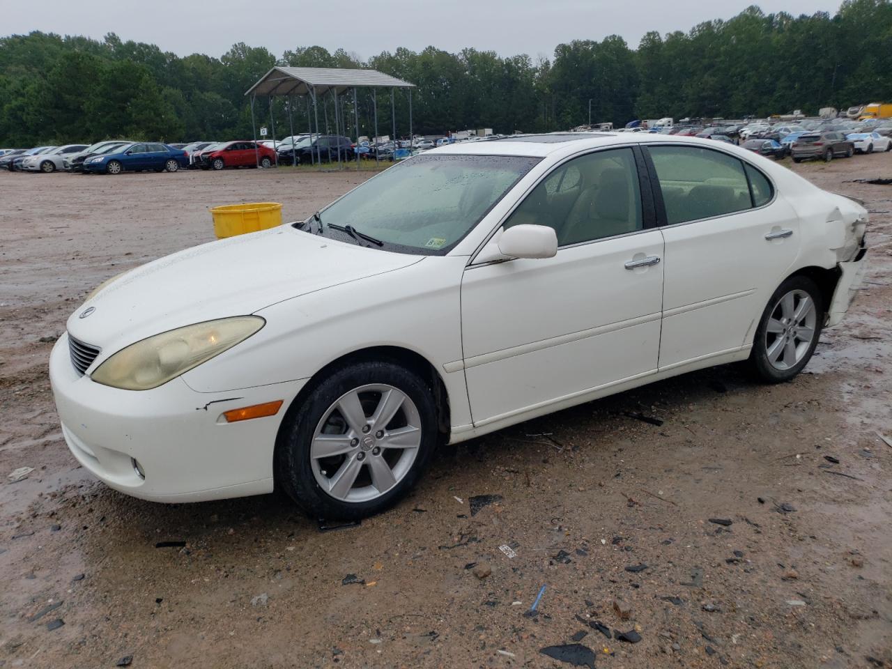 LEXUS ES 330 2005