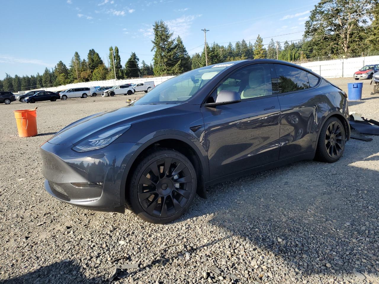 TESLA MODEL Y 2021