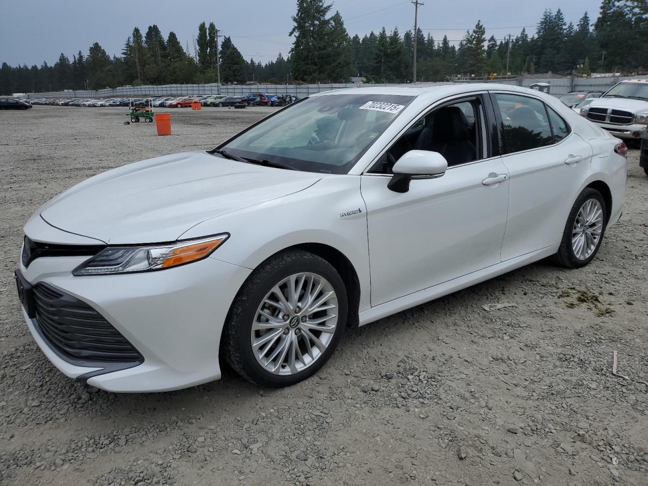 TOYOTA CAMRY XLE 2020