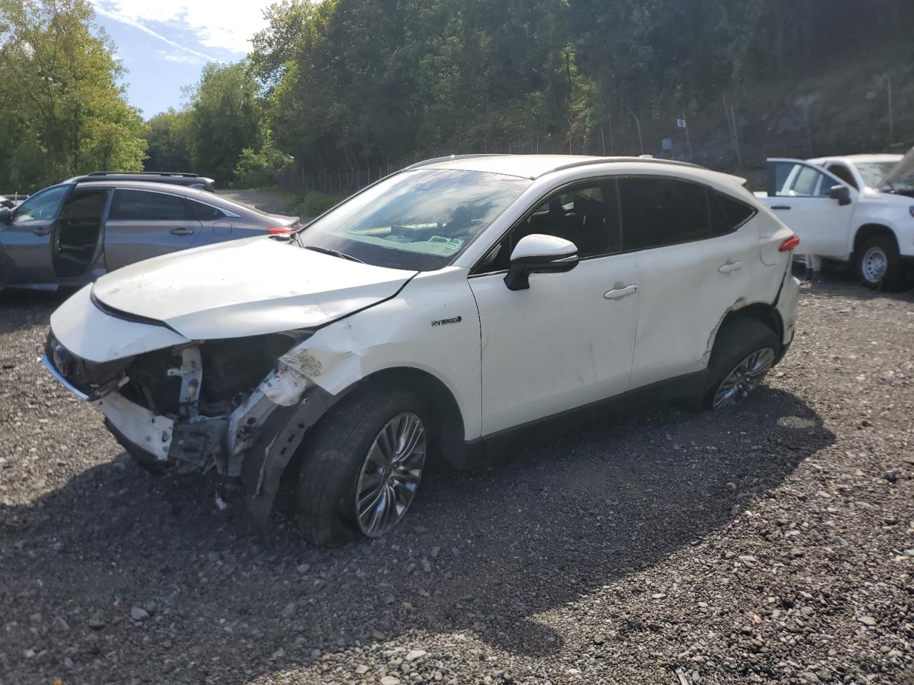TOYOTA VENZA LE 2021