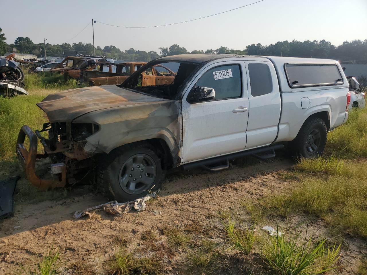 TOYOTA TACOMA ACC 2019
