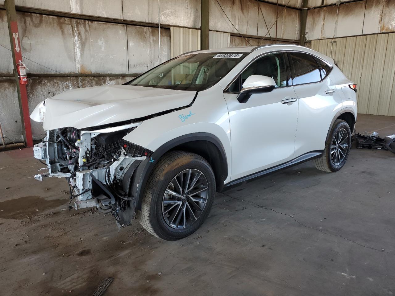 LEXUS NX 2024