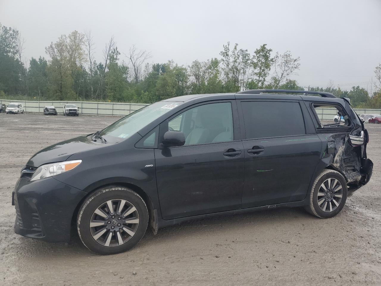 TOYOTA SIENNA LE 2019