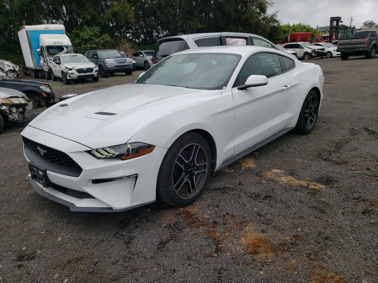 FORD MUSTANG 2023