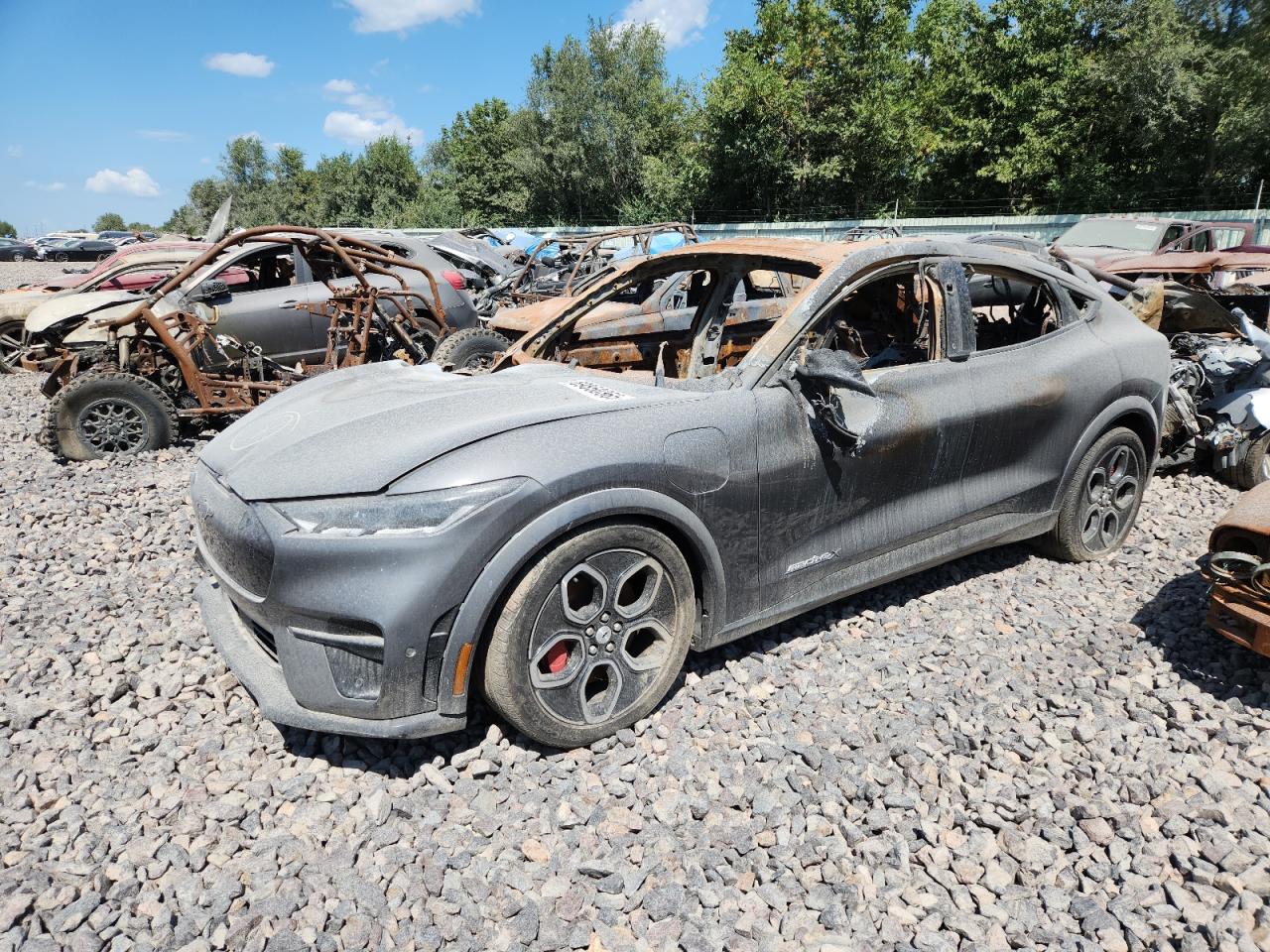 FORD MUSTANG MA 2023