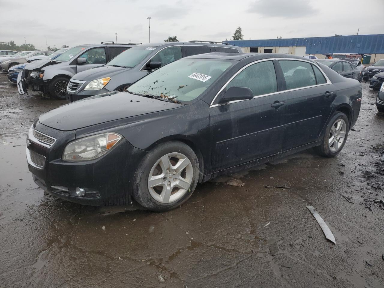 CHEVROLET MALIBU LS 2011