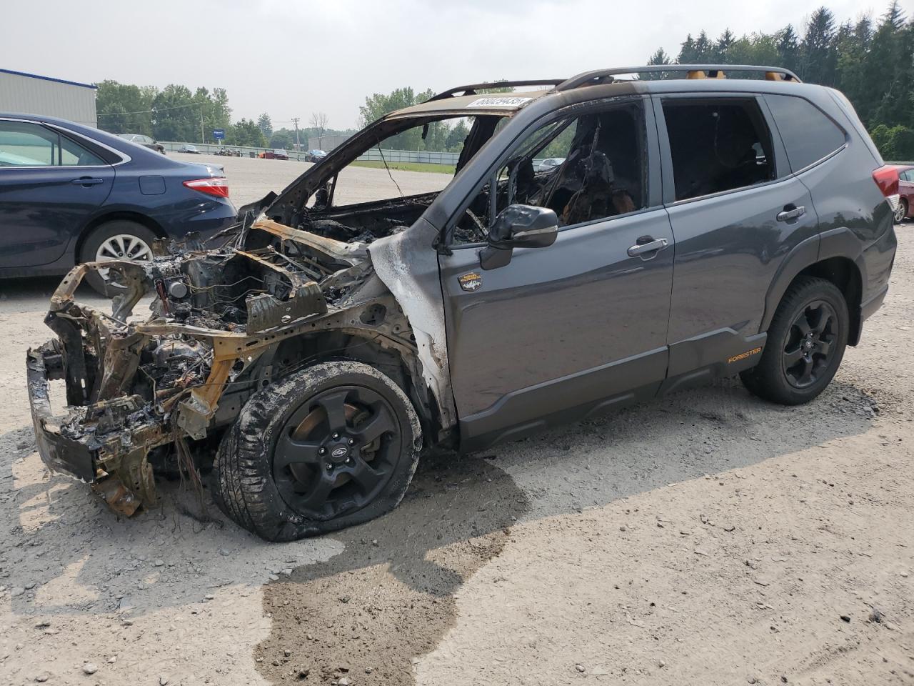 SUBARU FORESTER WILDERNESS 2023