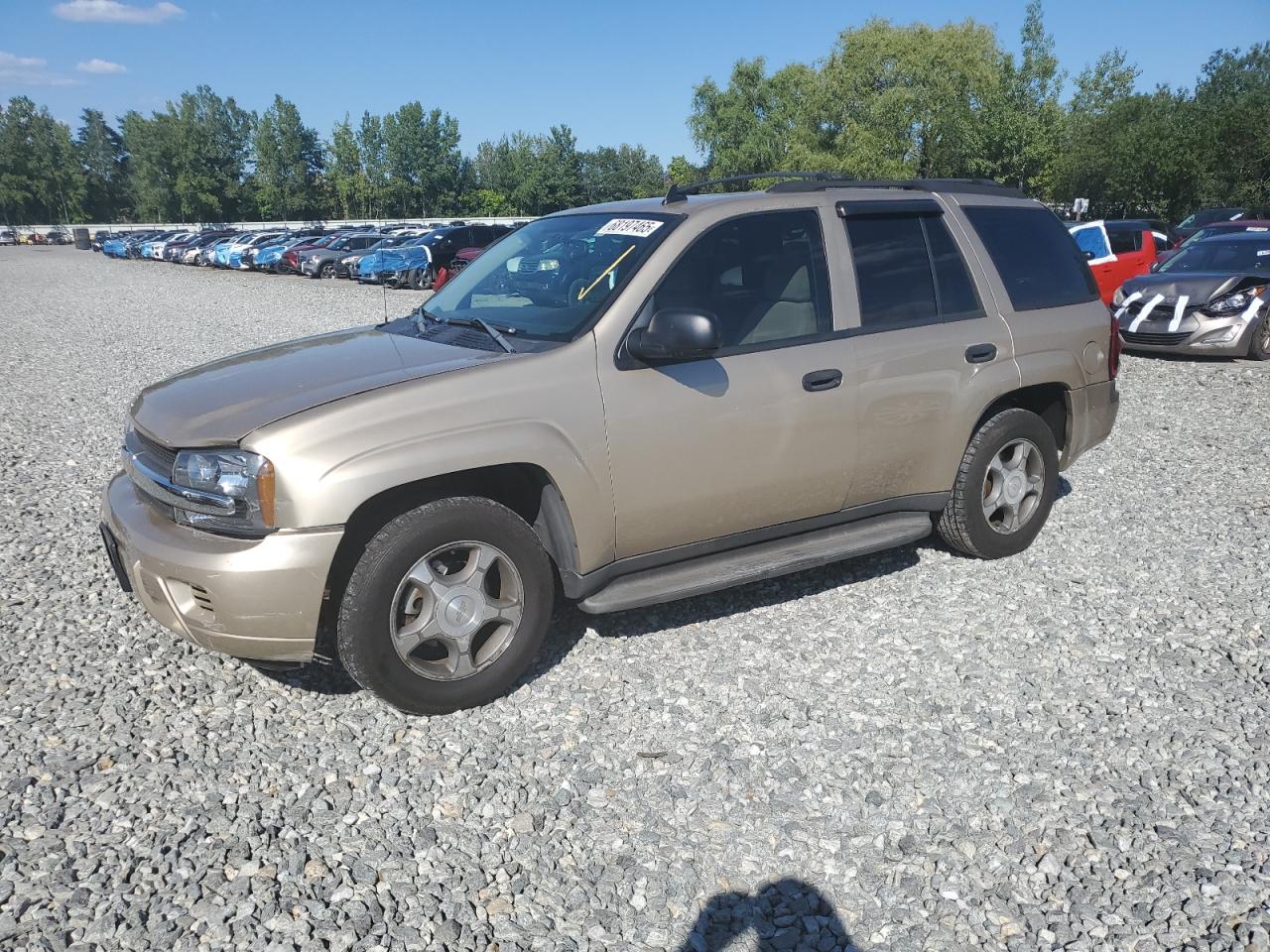 CHEVROLET TRAILBLAZER LS 2006