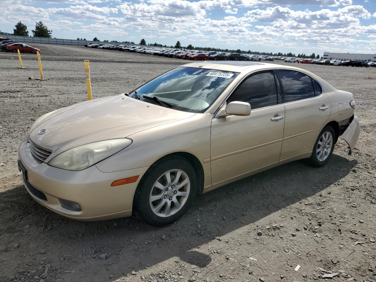 LEXUS ES 300 2002