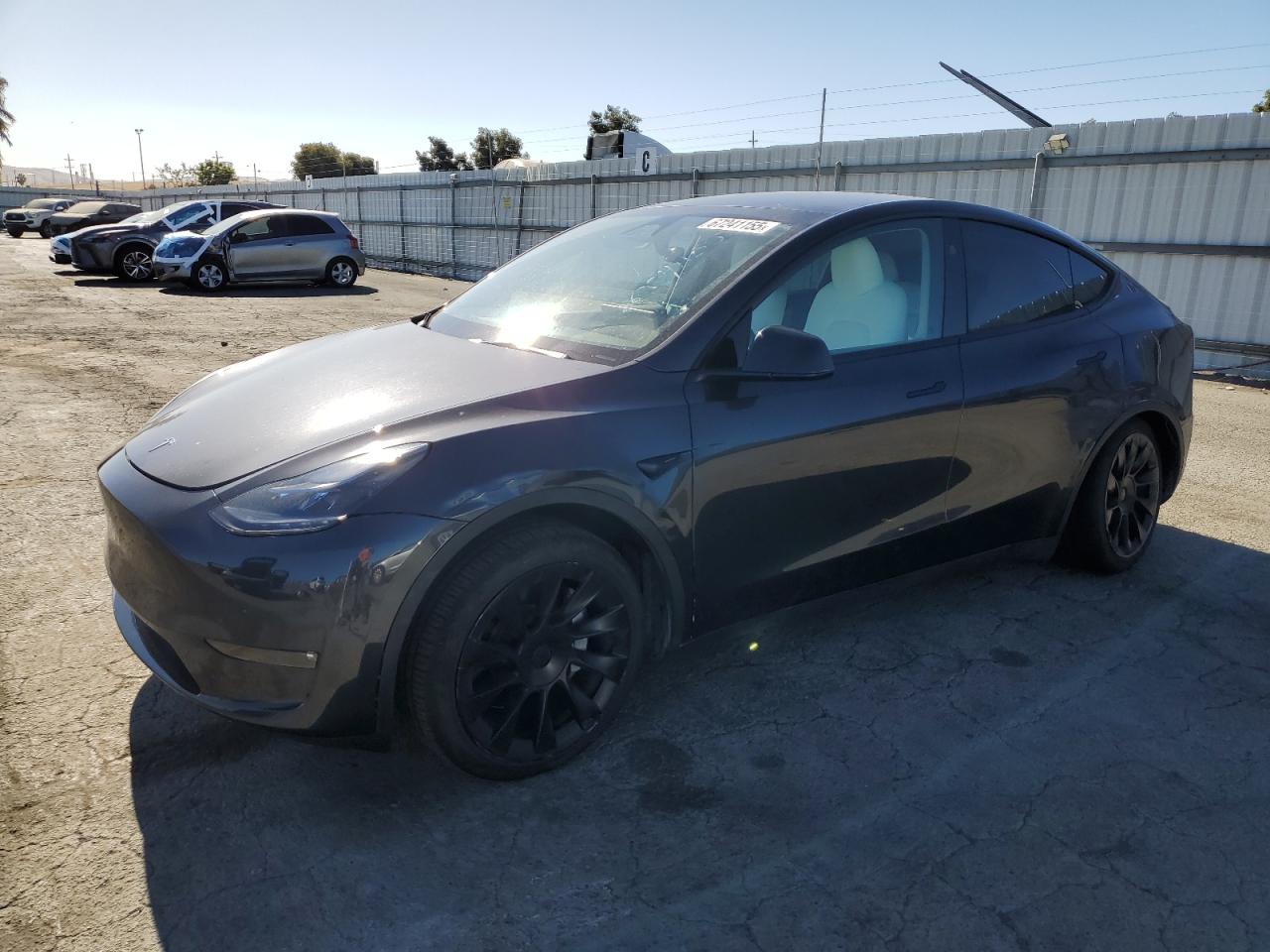 TESLA MODEL Y 2024