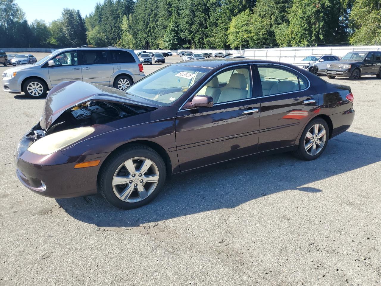 LEXUS ES 330 2005