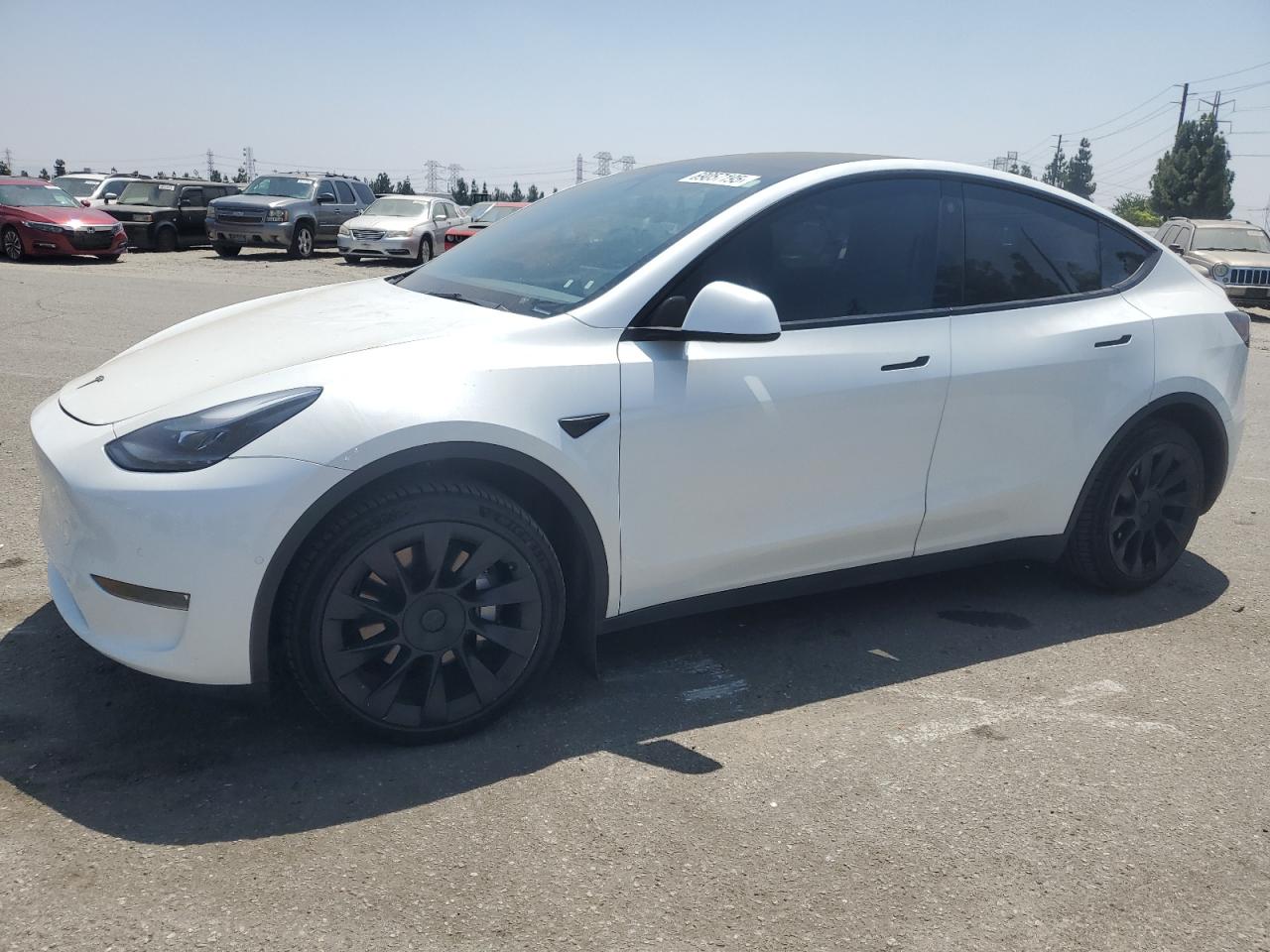 TESLA MODEL Y 2021