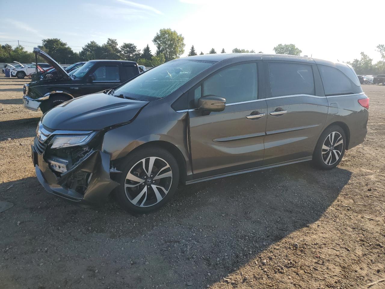 HONDA ODYSSEY EL 2019
