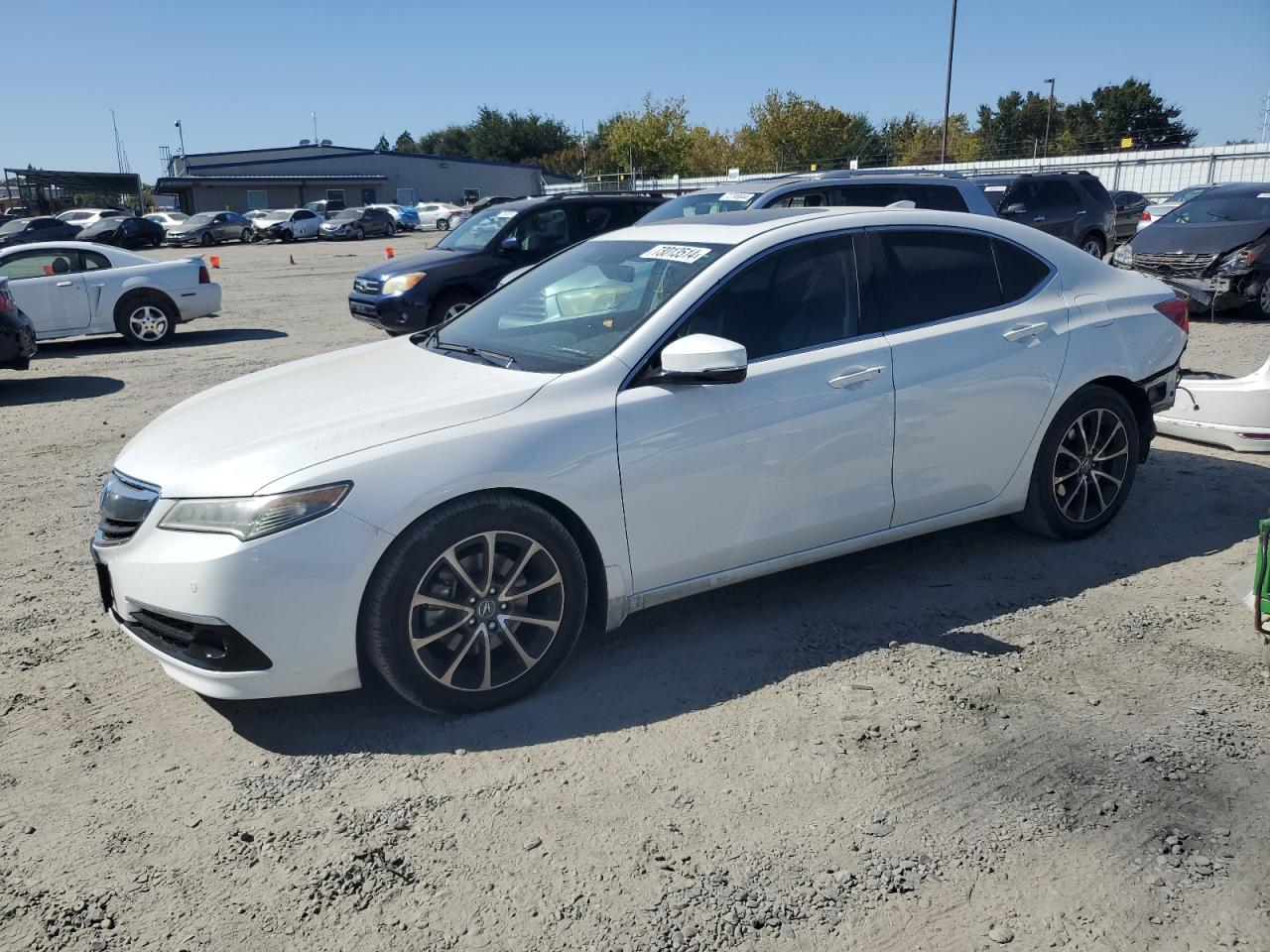 ACURA TLX ADVANC 2015