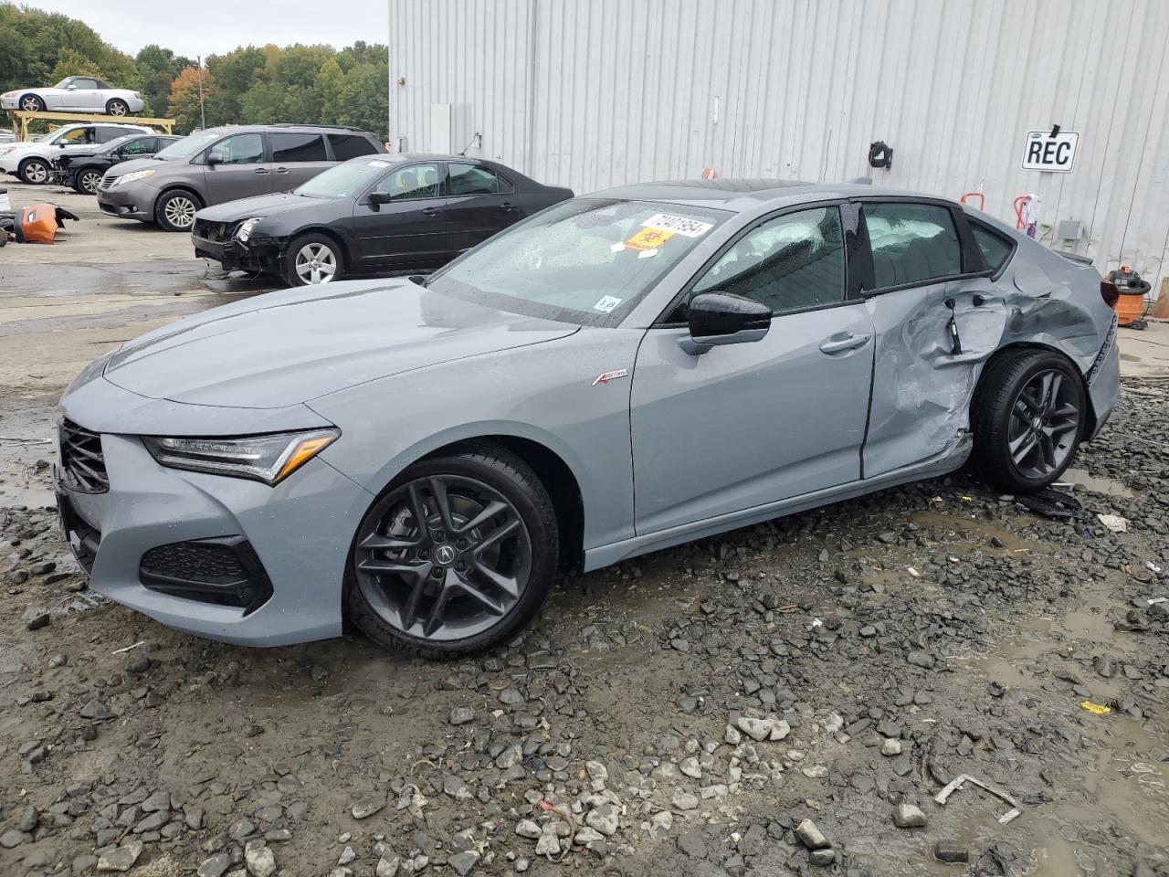 ACURA TLX A-SPEC 2024