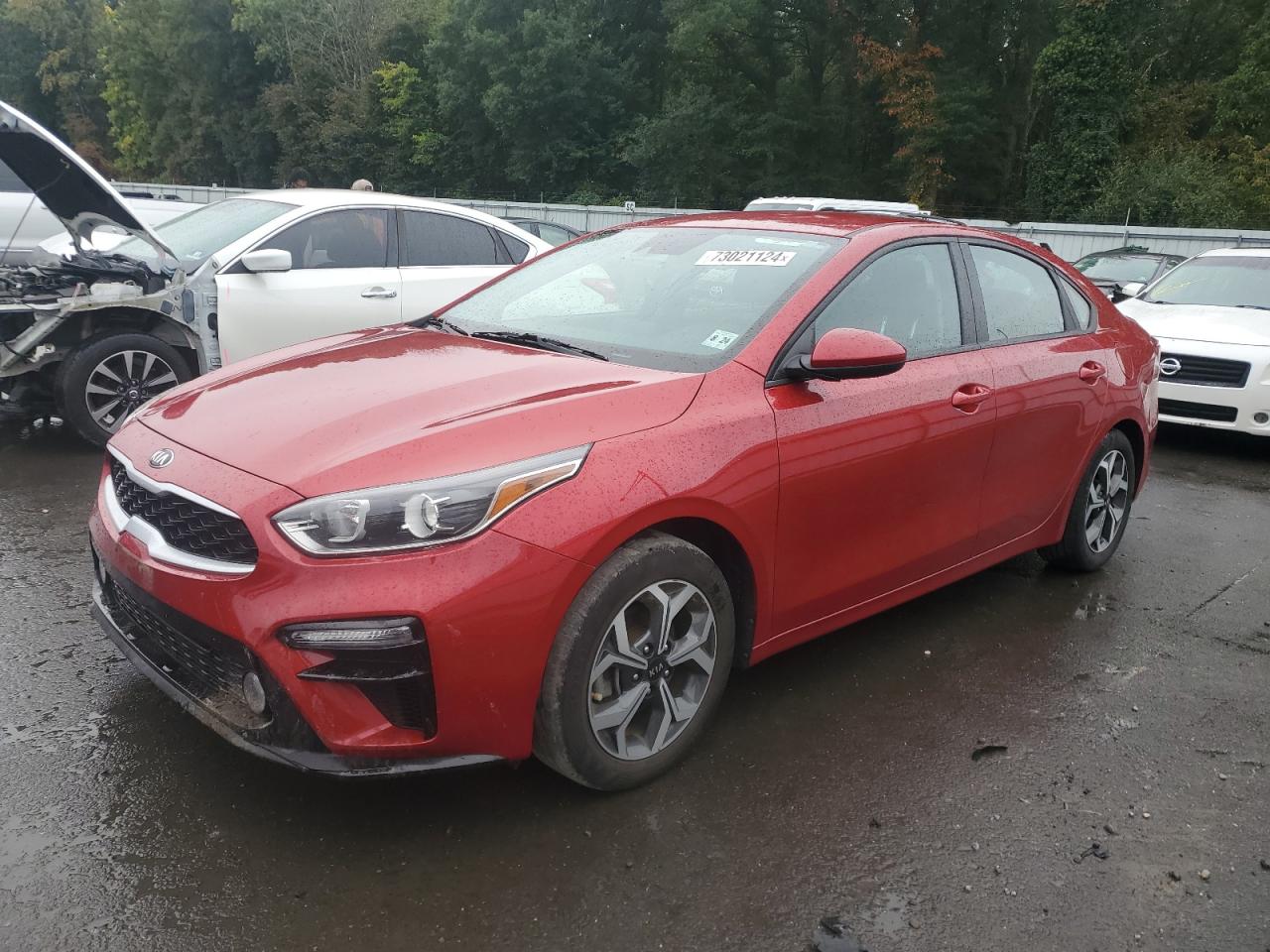 KIA FORTE FE 2019