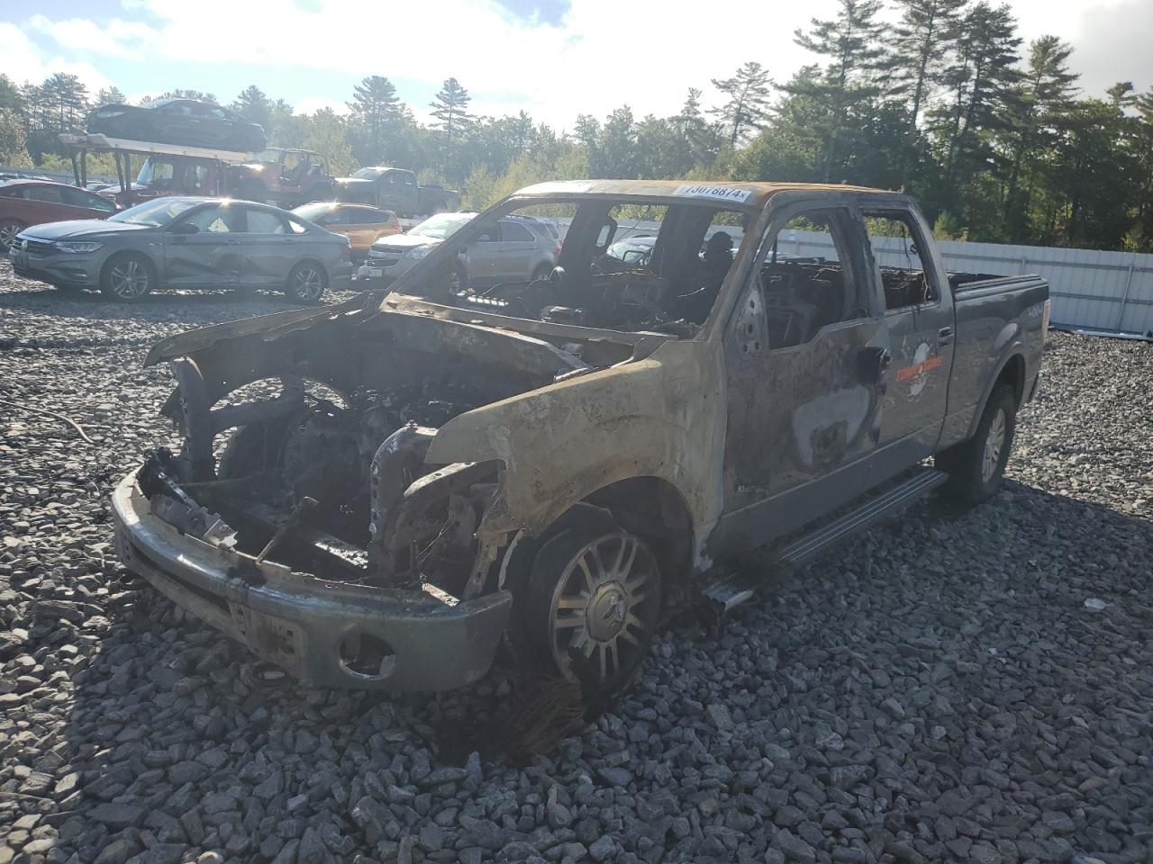 FORD F-150 2013