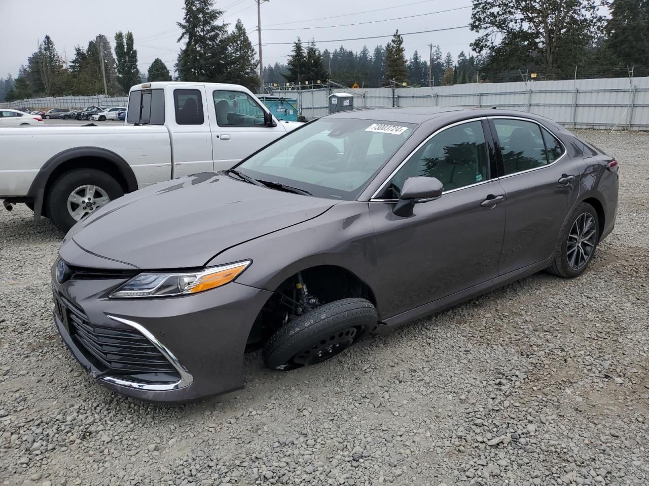 TOYOTA Camry Xle 2024