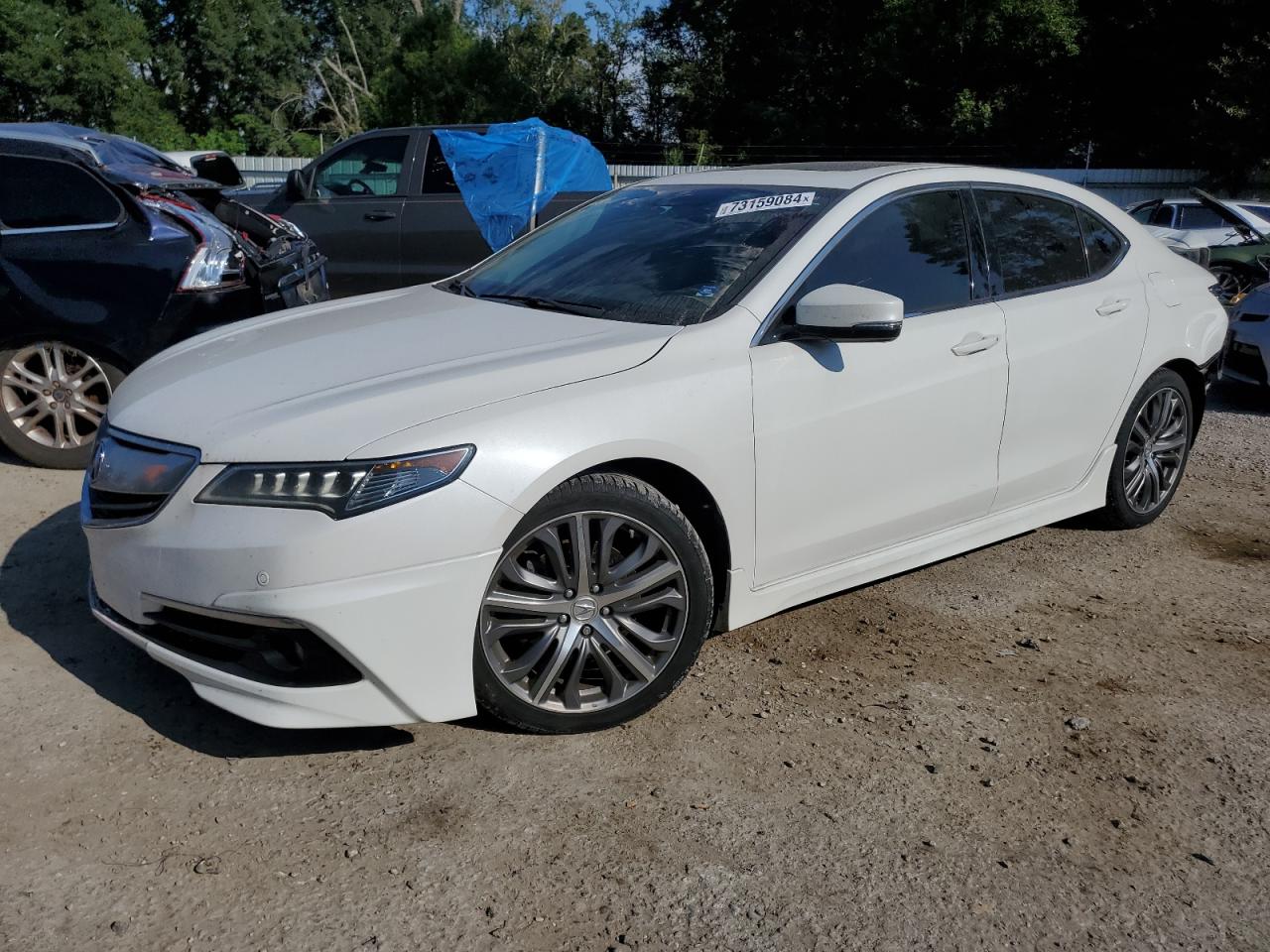 ACURA TLX ADVANC 2015