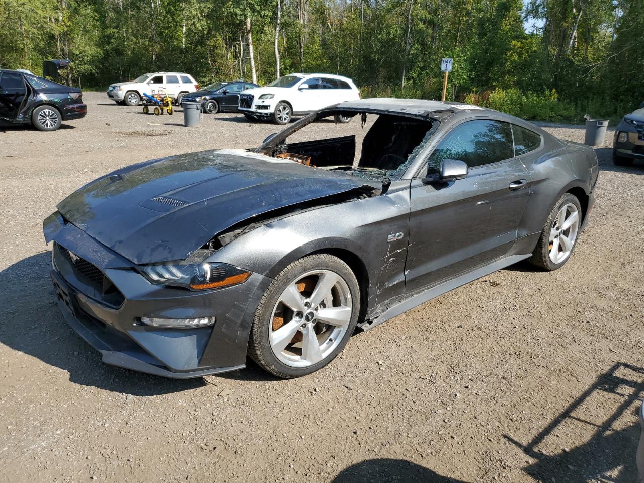 FORD MUSTANG GT 2019
