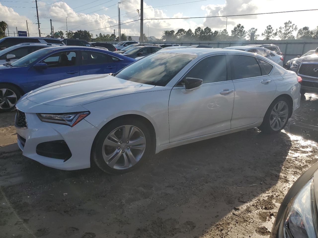 ACURA TLX TECHNO 2021