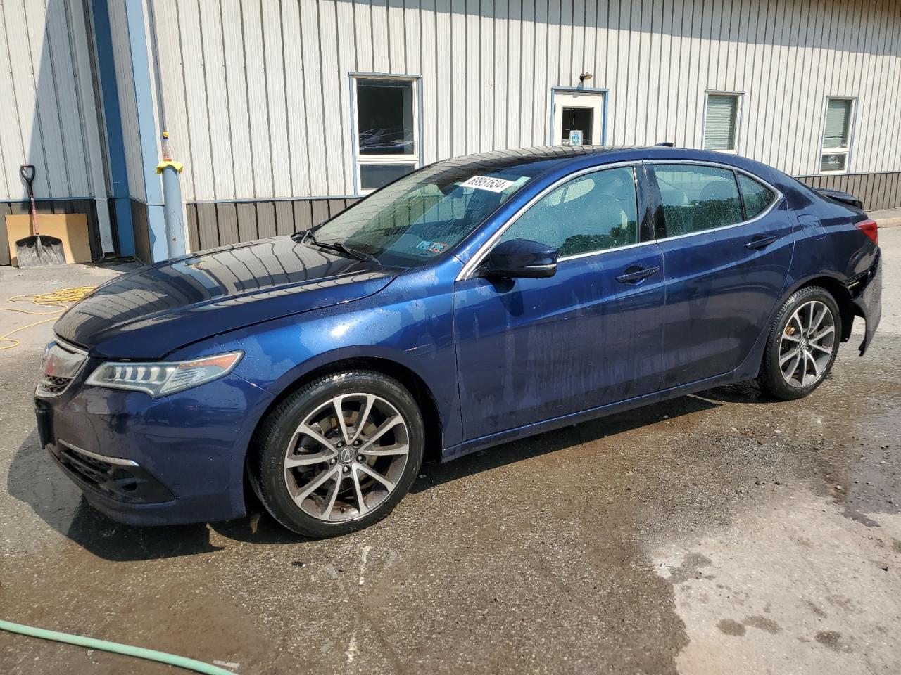 ACURA TLX ADVANC 2015