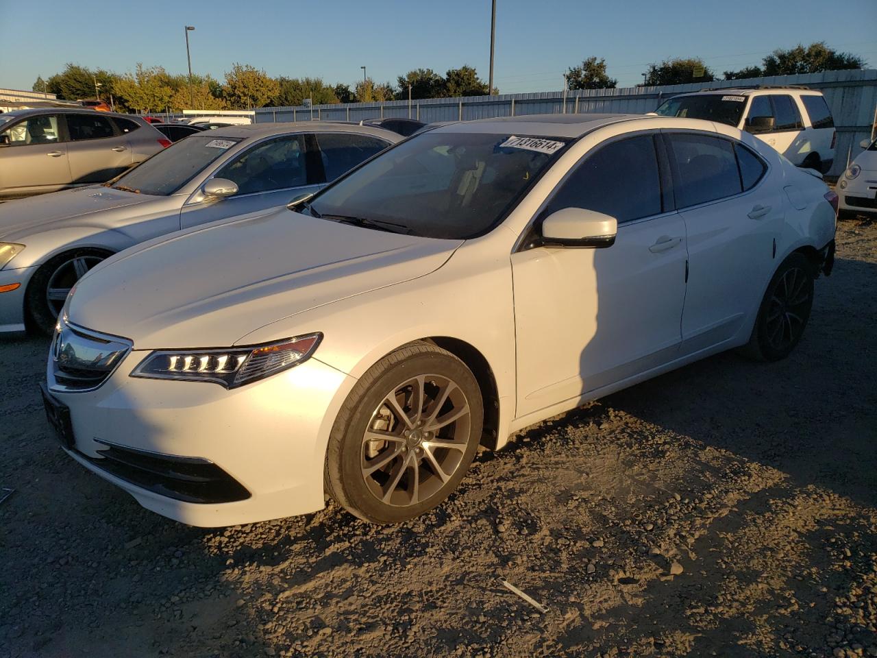 ACURA Tlx 2015